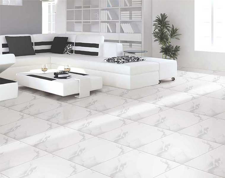 40x40 tiles clearance