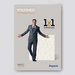 Solitaire Plus <br/> and Solitaire
