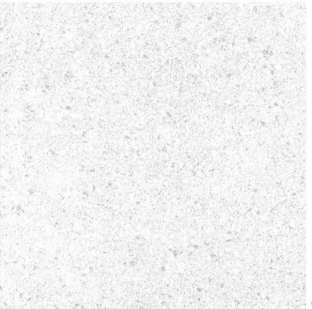 Floor tiles in india Floor tiles in india