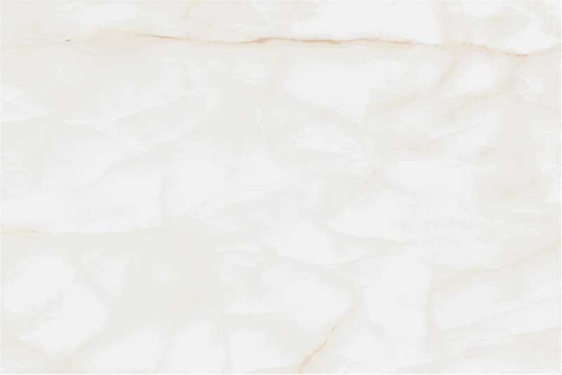 Tenerife Floral Highlighter, Wall Tiles, 30x45 cm Digital, Glossy