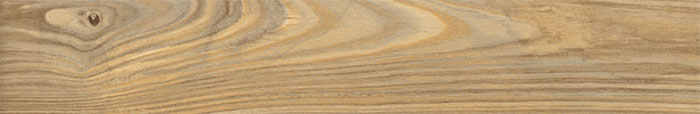 Burma Oak