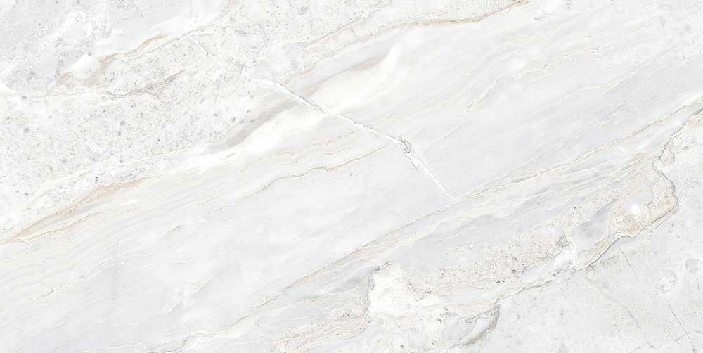 Rizinia Grey (B)