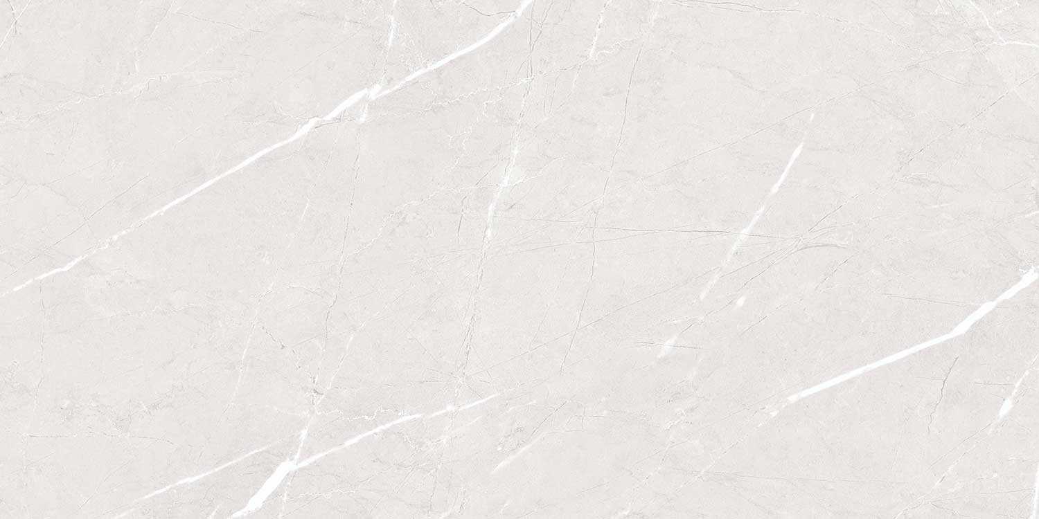 Altroz Grey