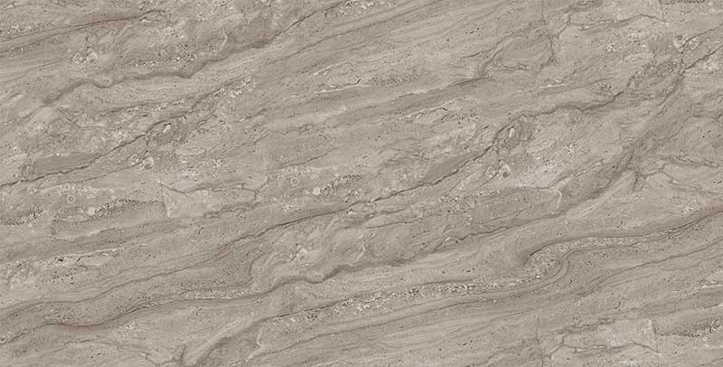 Dyno Taupe
