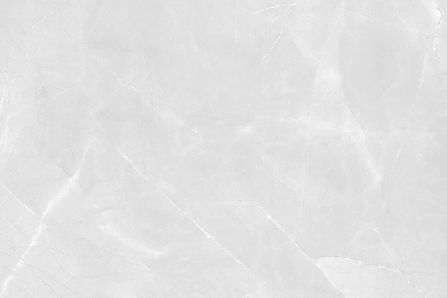Armani Silver