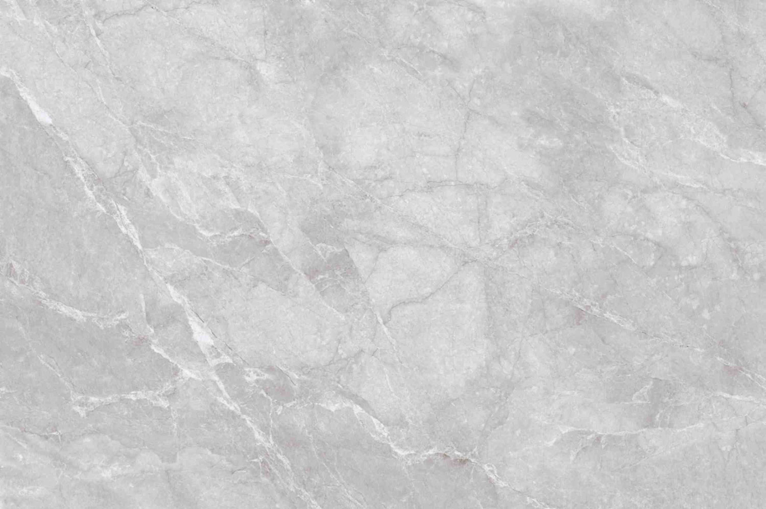 Venchy Grey