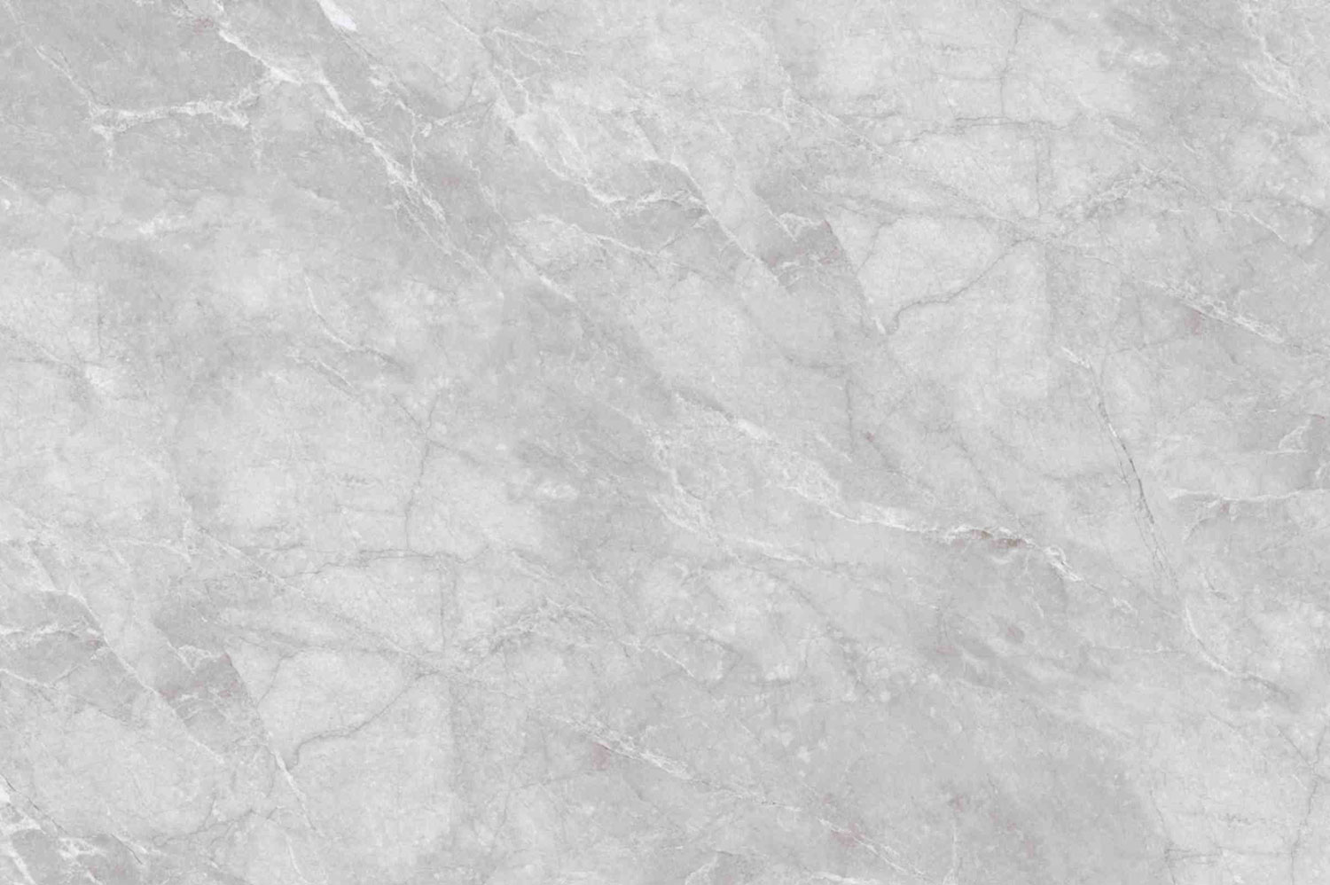 Venchy Grey Beyond