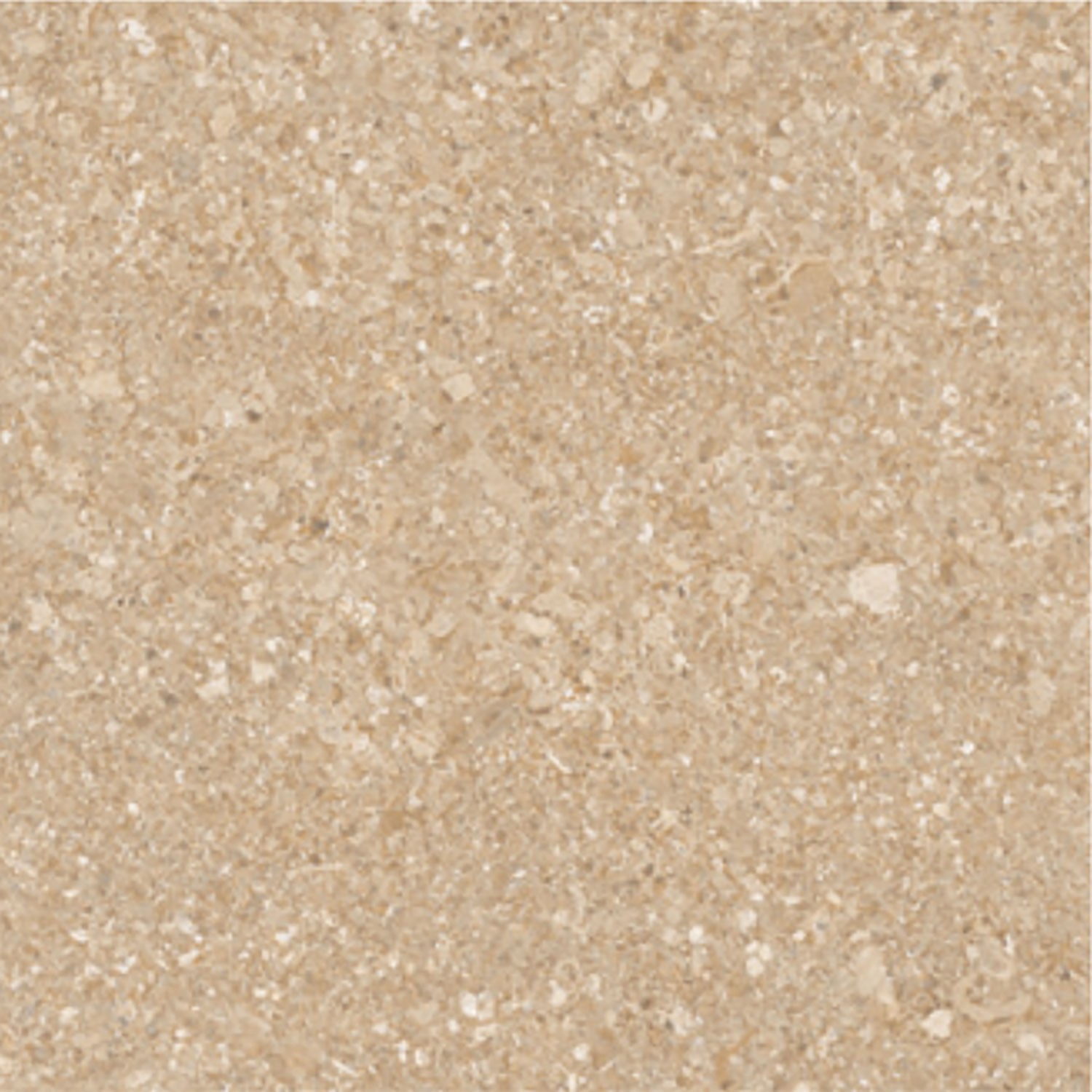 Antaris Ocre
