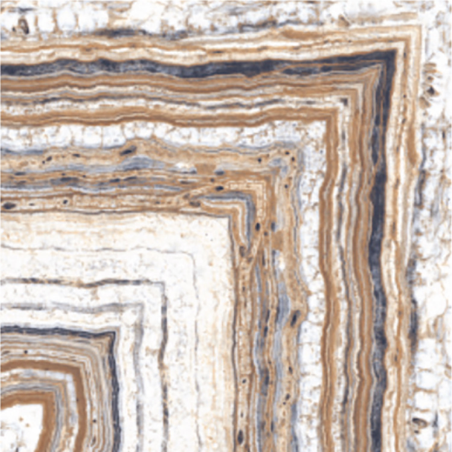 Tigron Beige B