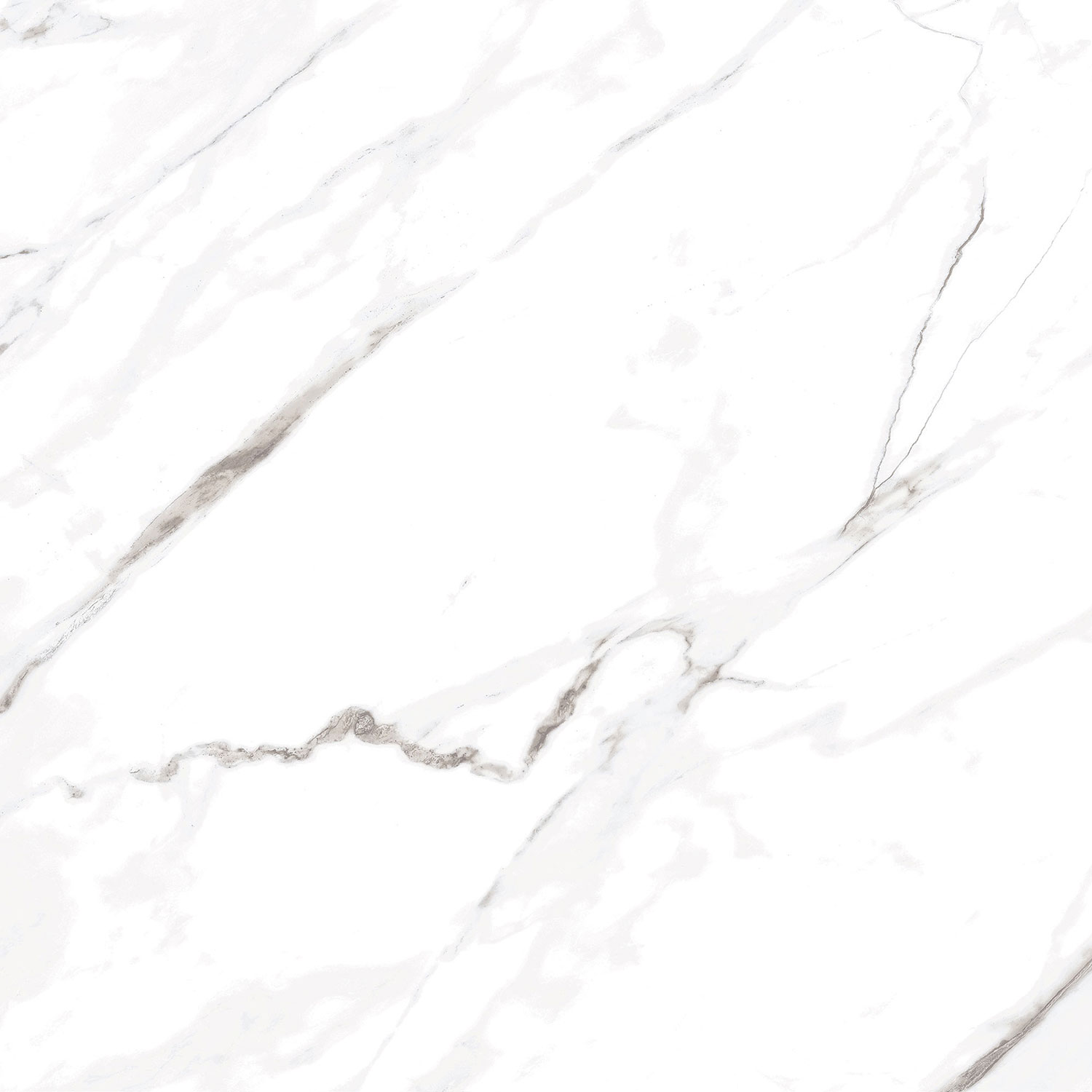 Carrara White