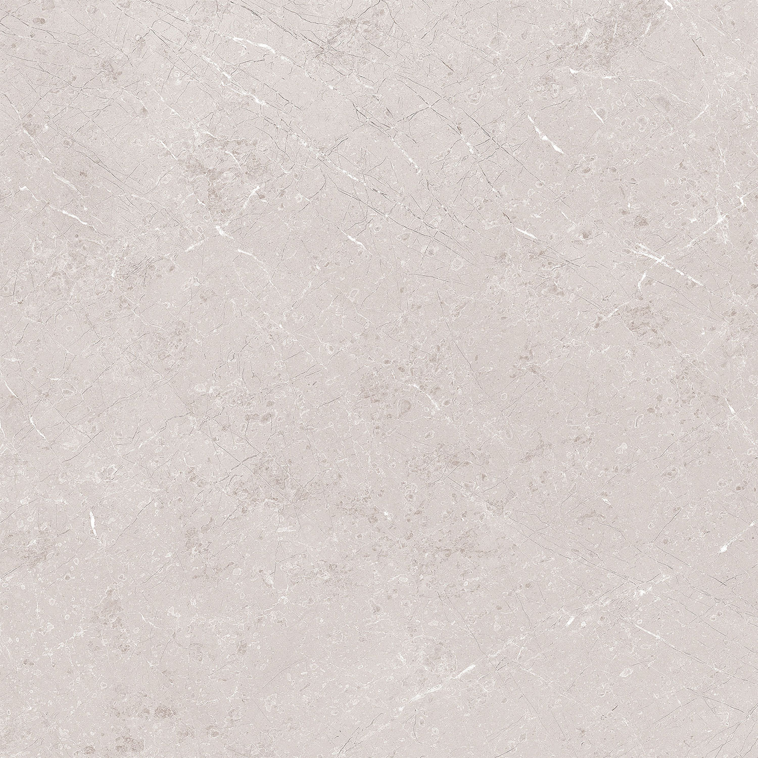 Gozzio Grey Beyond