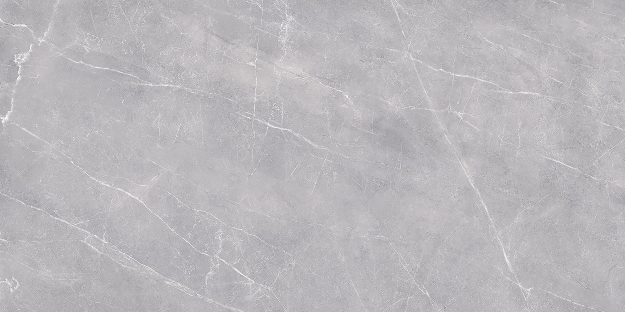 Pavit Grey Beyond