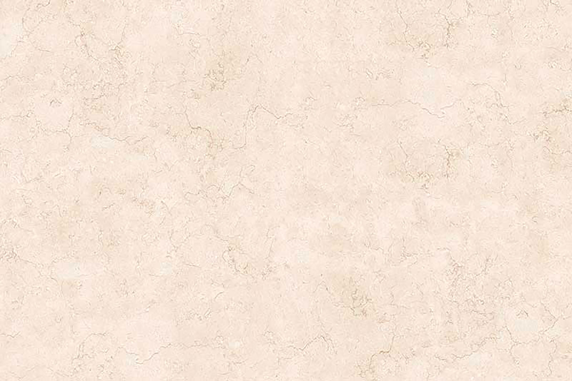 Elegant Beige Beyond