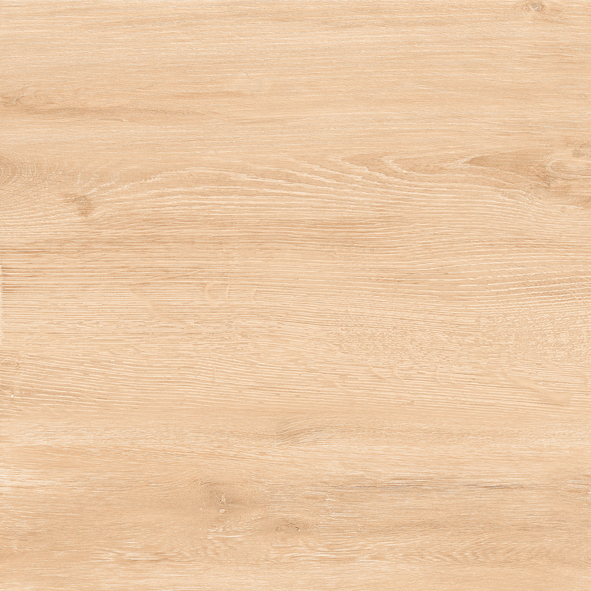 Goldcost Pine