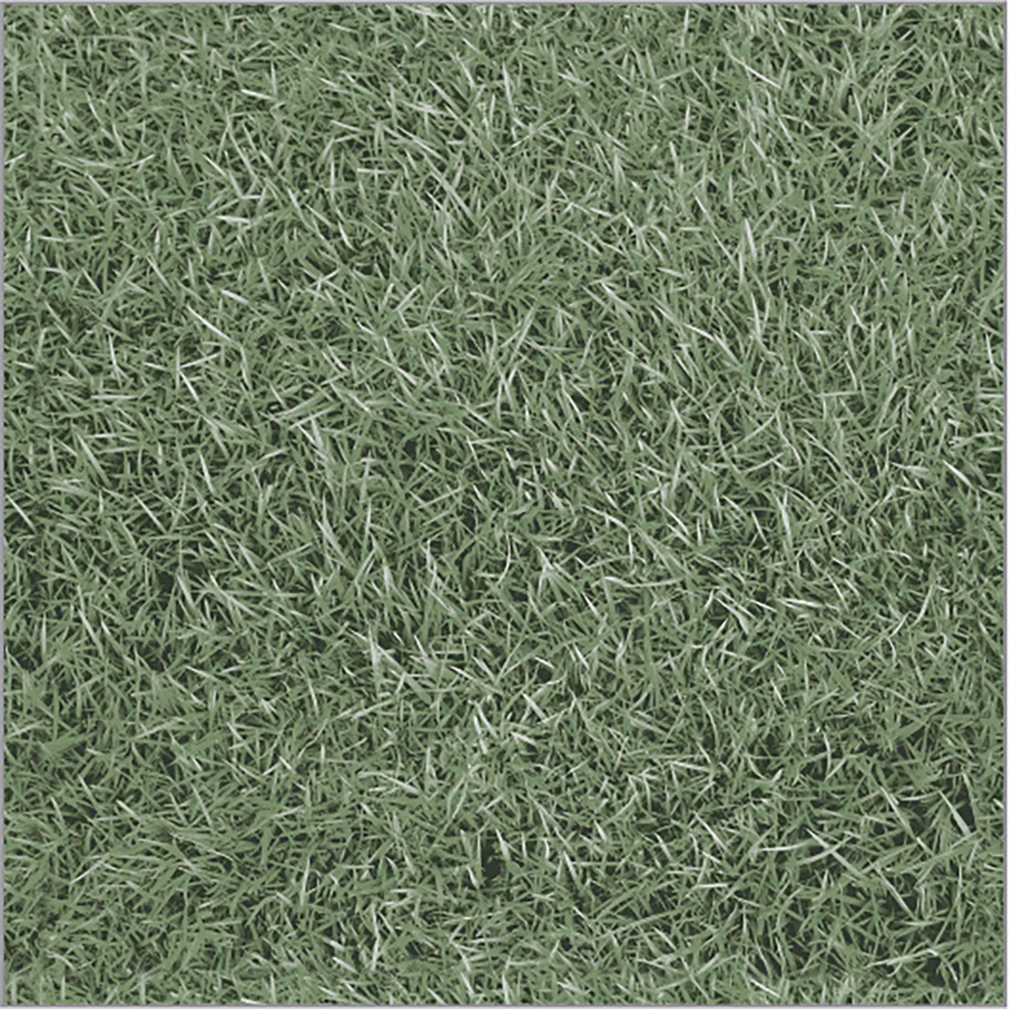 Green Grass