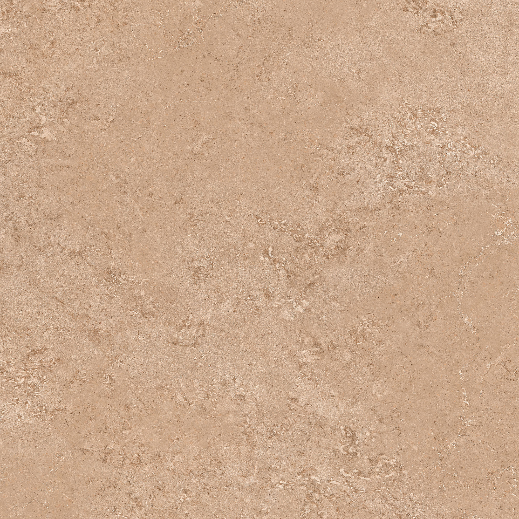 Auckland Copper
