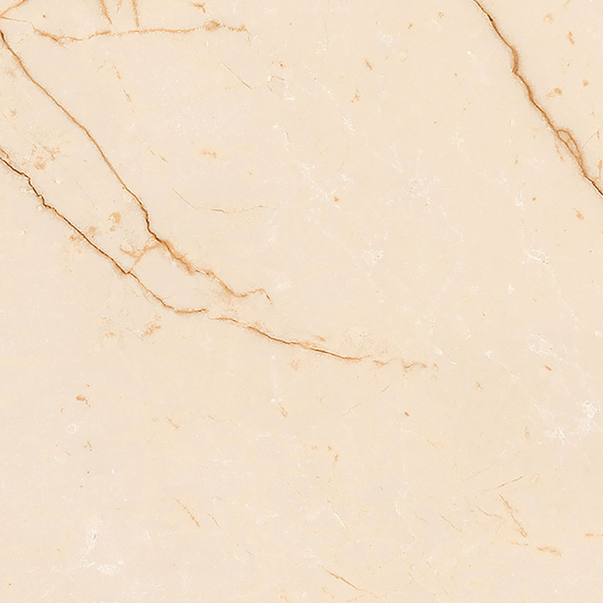 Argo Breccia