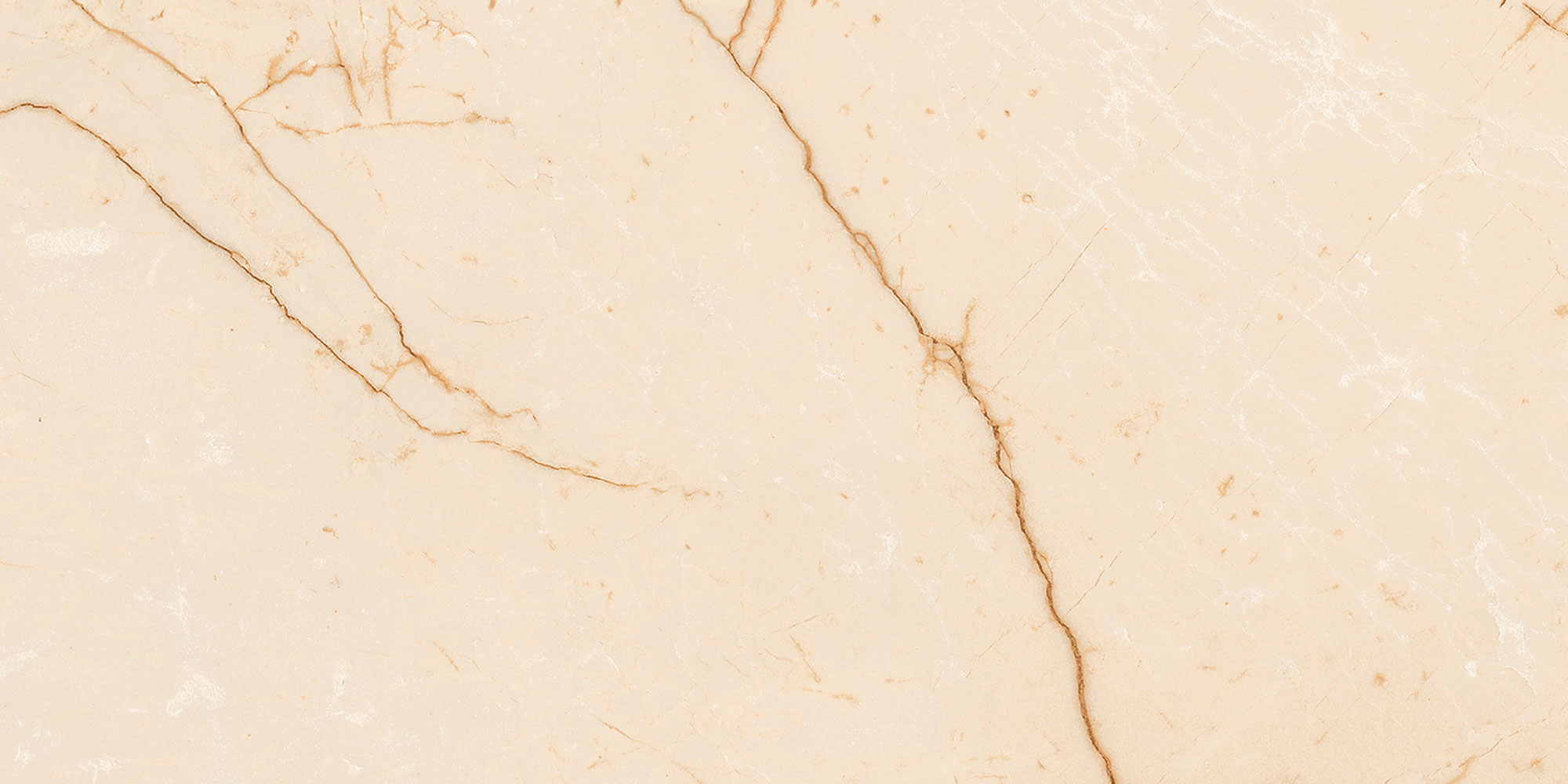 Argo Breccia