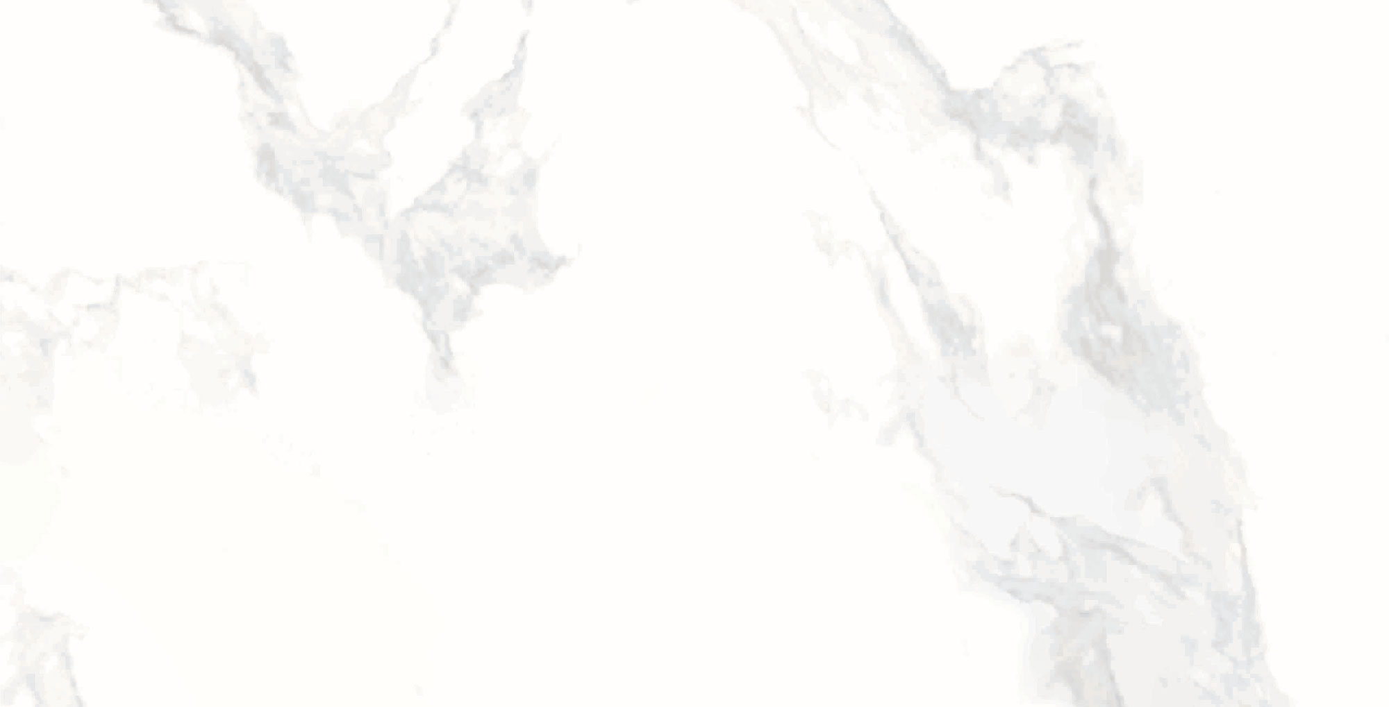 Calcatta White Polished