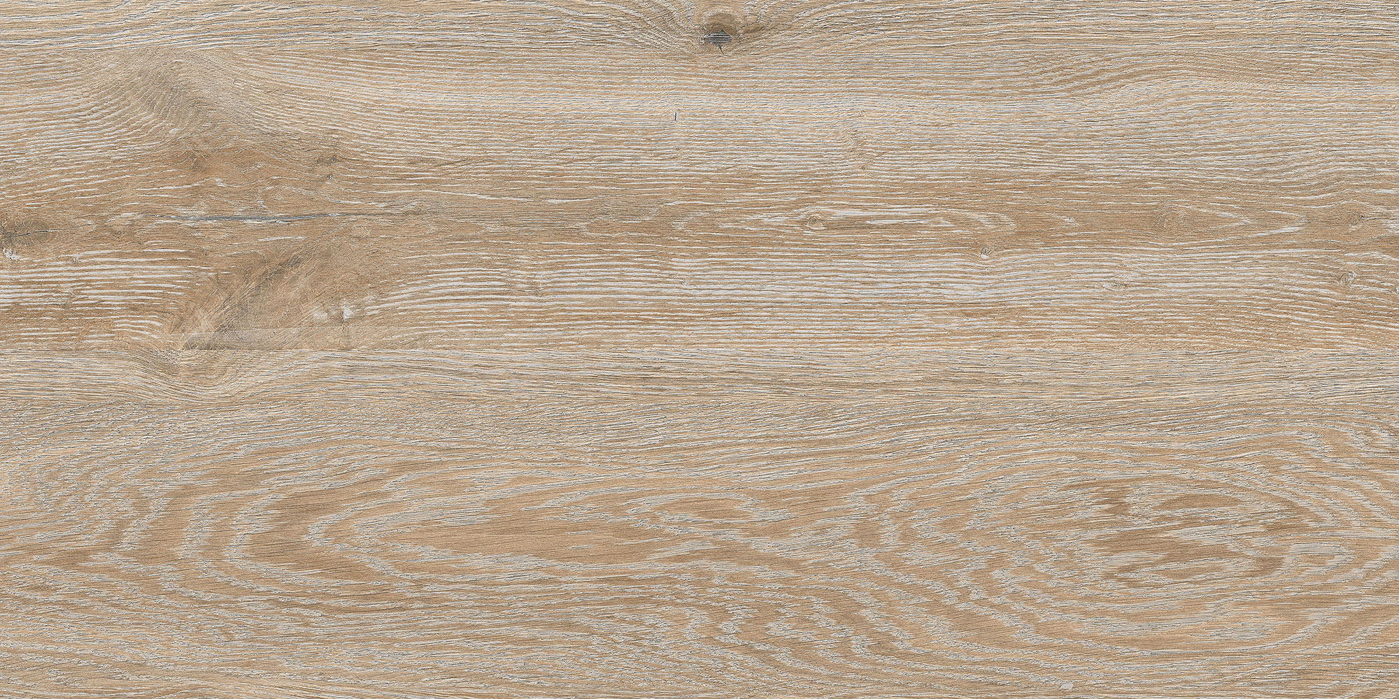 Douglas Fir