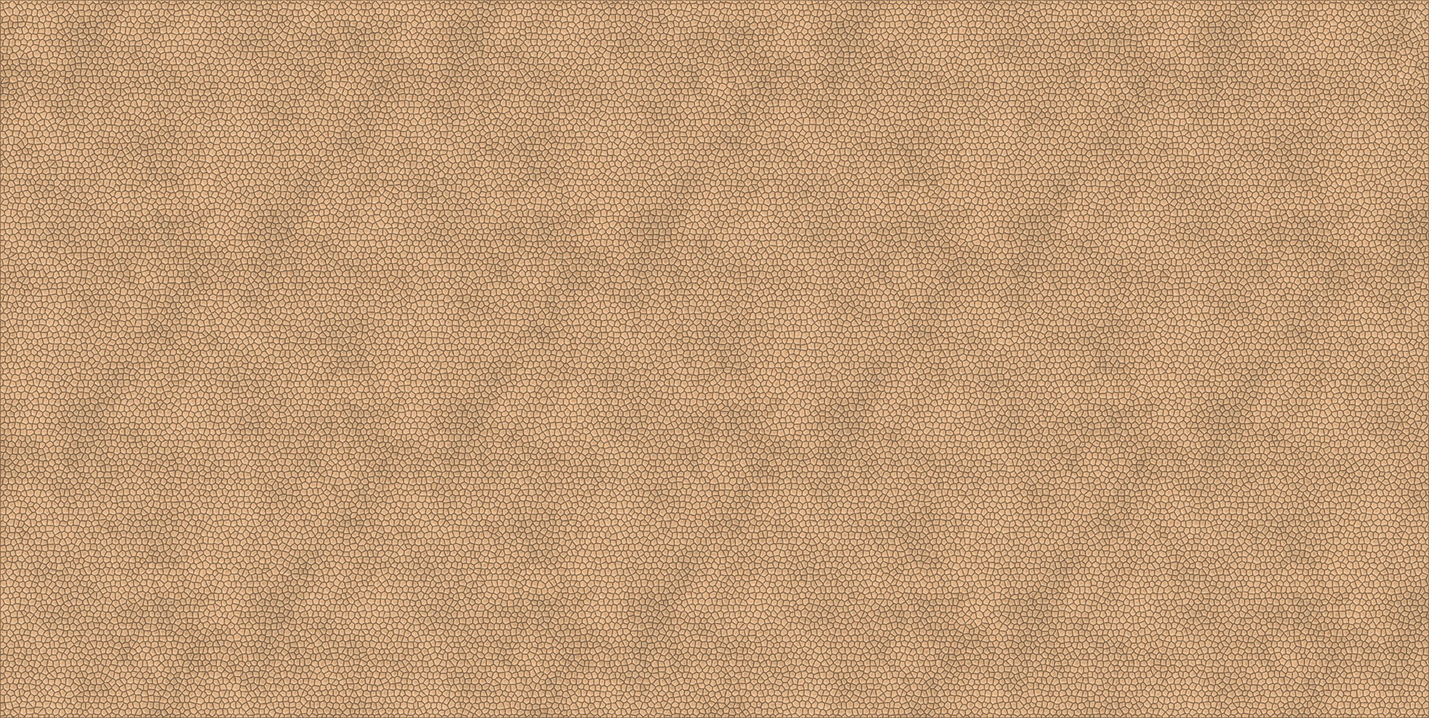 Turtle Beige