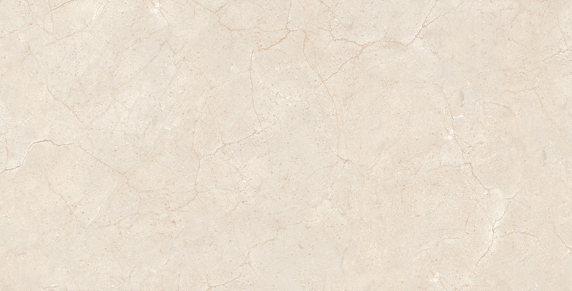 Gracia Marfil Polished