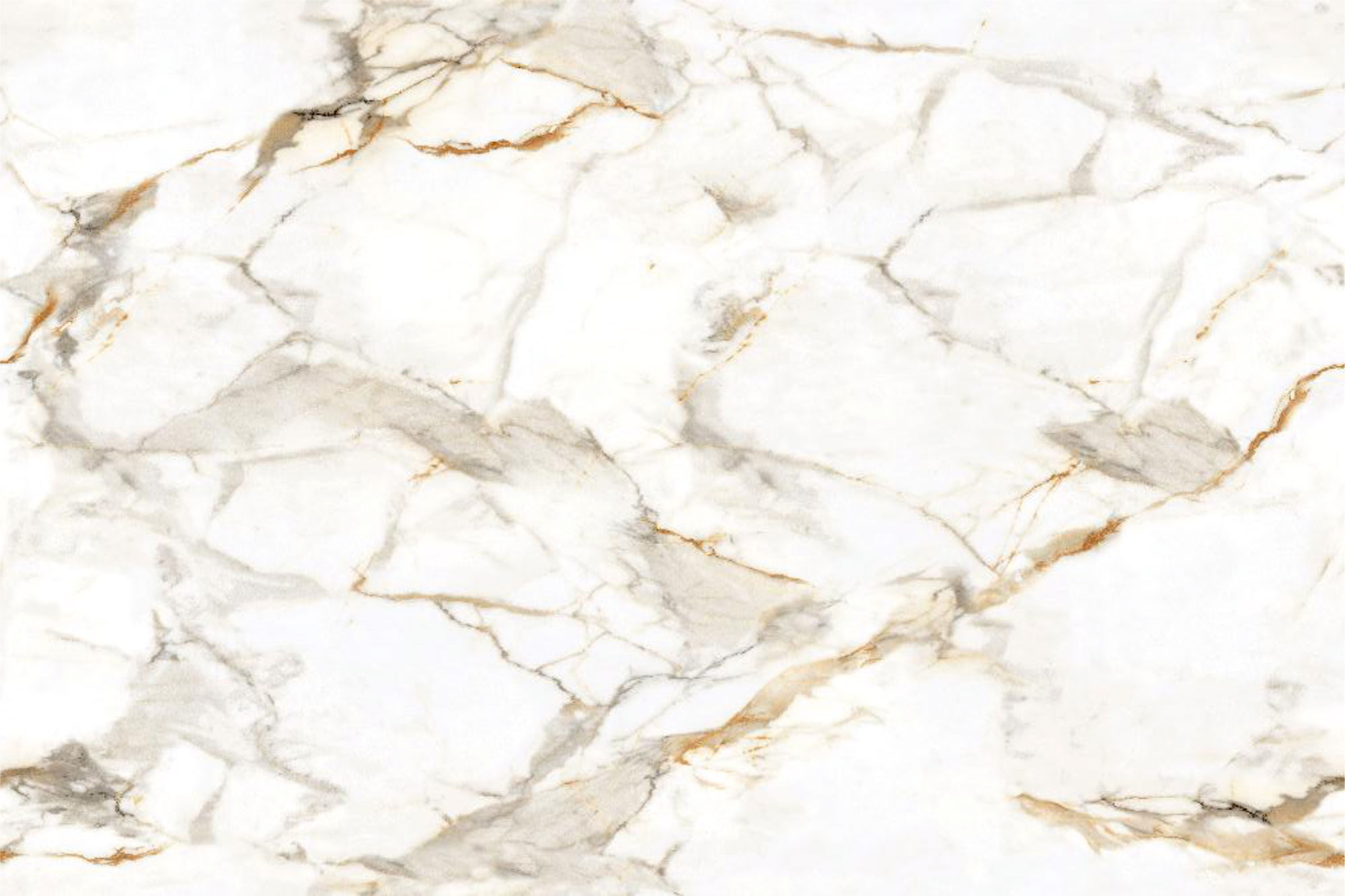 Asacia White Endless