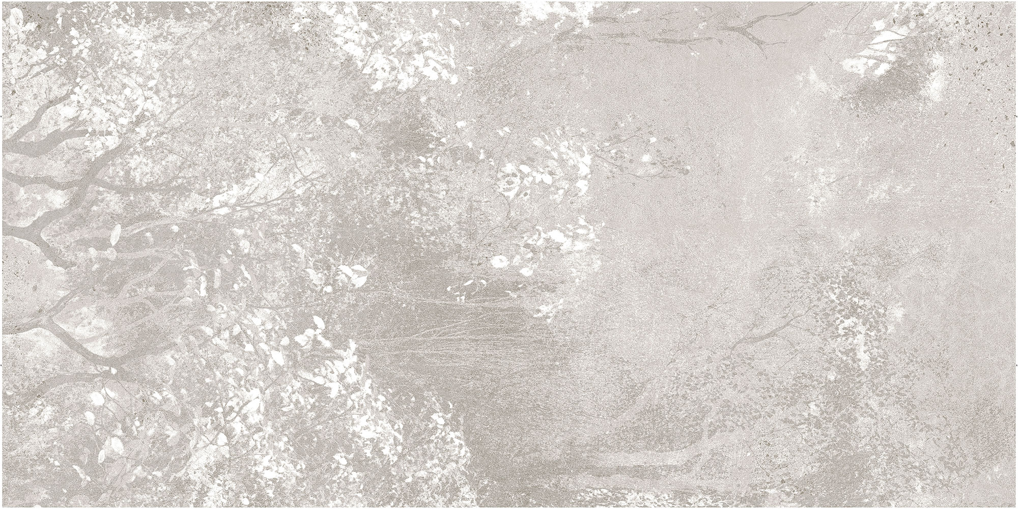 Dry Forest
