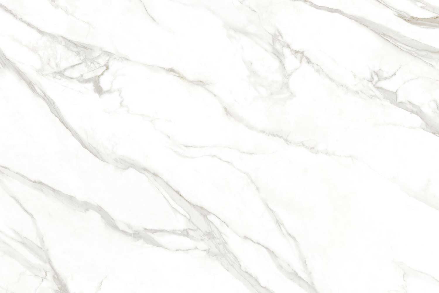 Bianco Di Luca (White Body)