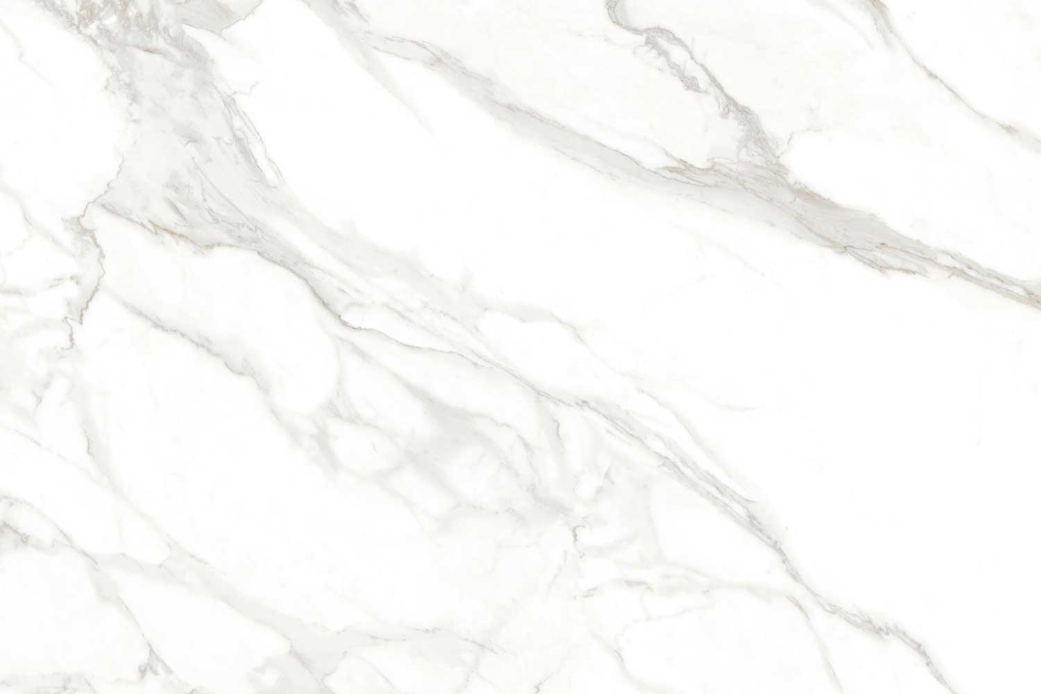Bianco Di Luca (White Body)