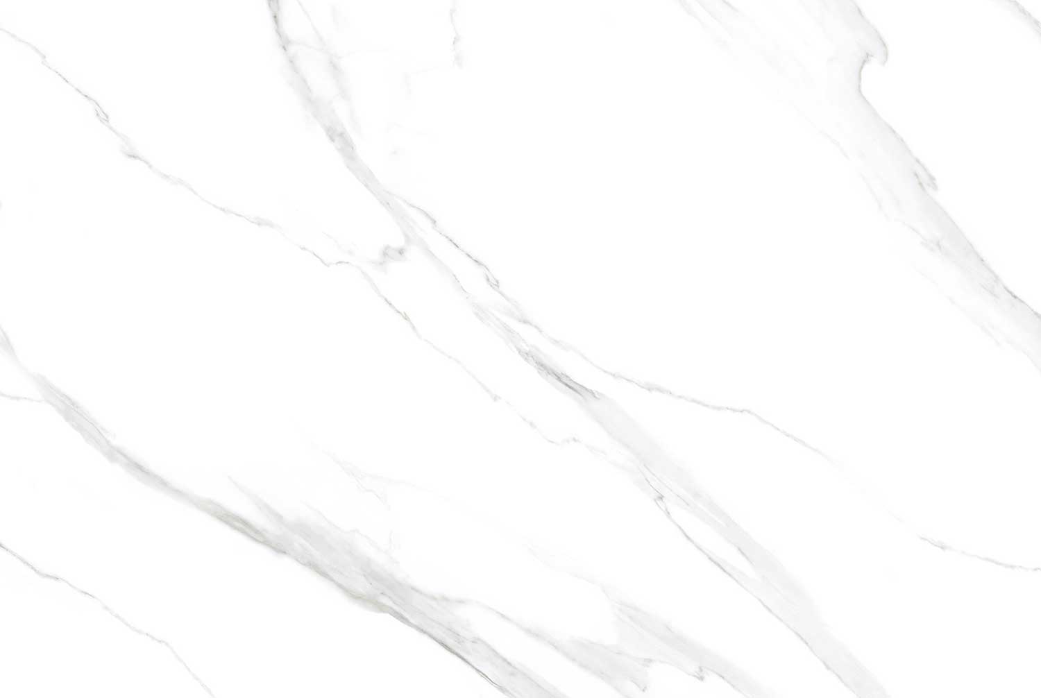 Statuario Pearl (White Body)