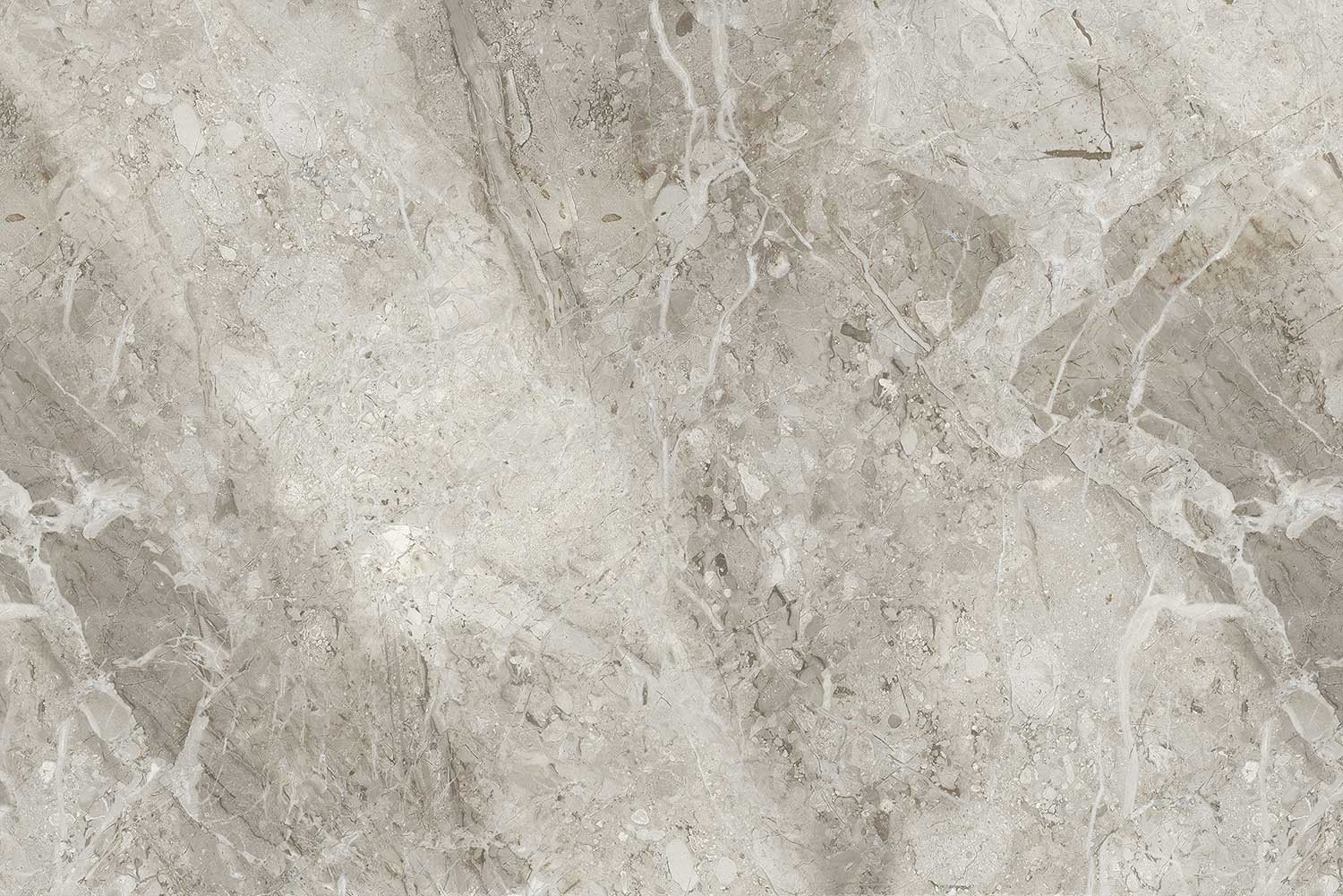 Pristina Dove (Grey Body)