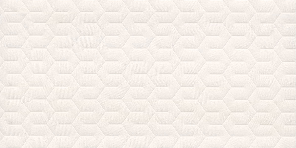 12660 (White) - Pentagon