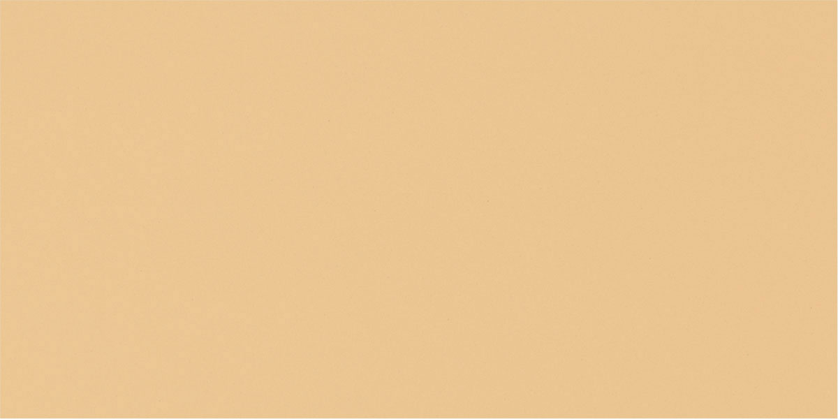 12667 (Jaisalemer) - Plain