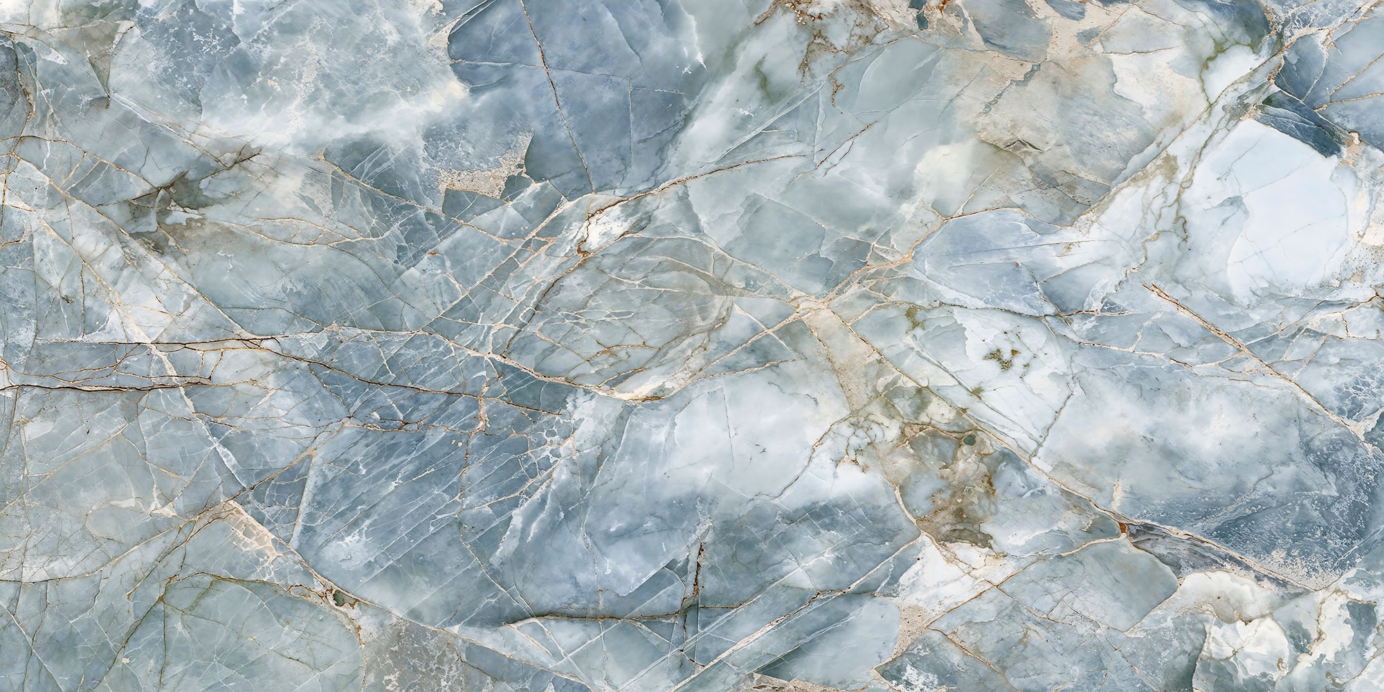 Oyster Aqua